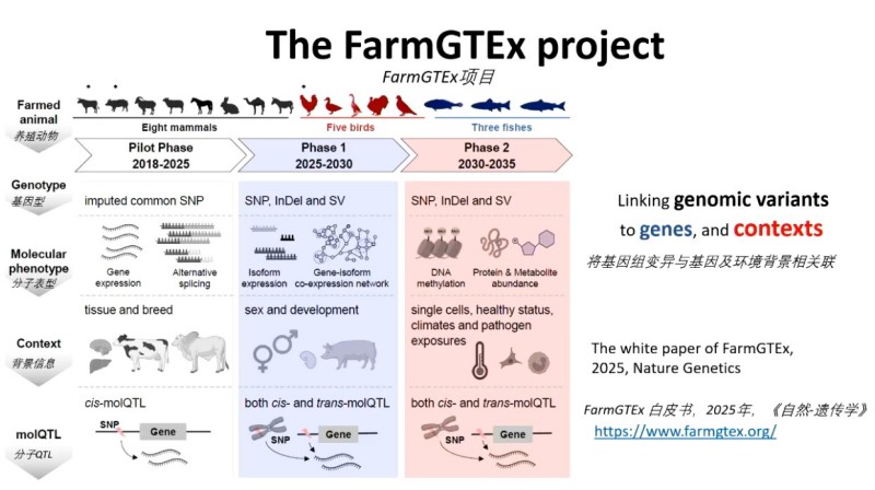 藏在食材里的基因智慧：好品种，是这样选出来的