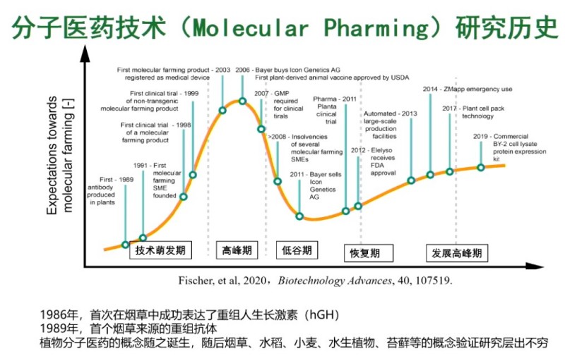 碗里的大米不简单！育种技术让它“种”出救命药