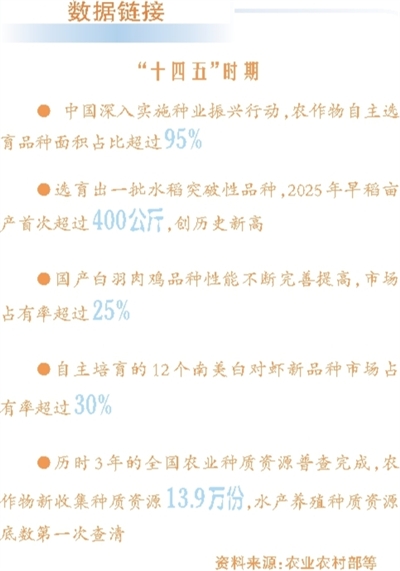 从粒粒良种，到仓廪充盈