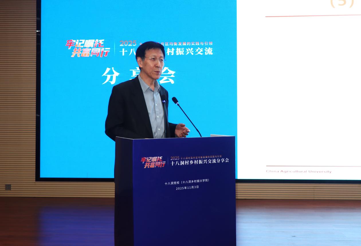 2025十八洞村乡村振兴交流分享会在湖南湘西花垣县举行