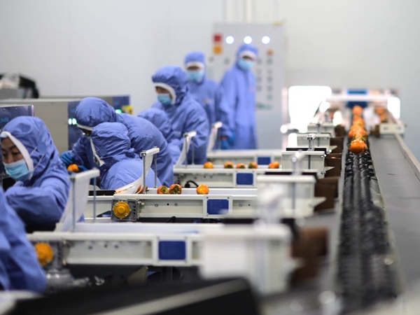 中国三星赋能乡村振兴 打造公益创新样本