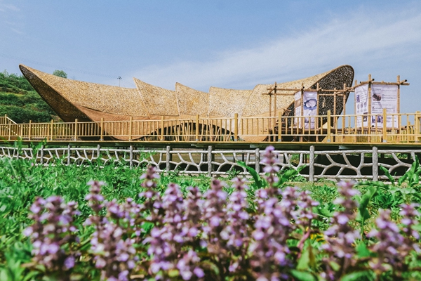 中国三星赋能乡村振兴 打造公益创新样本