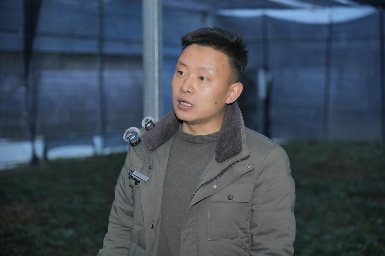 安康镇坪：深山黄连成“金药”，道地药材结出“致富果”