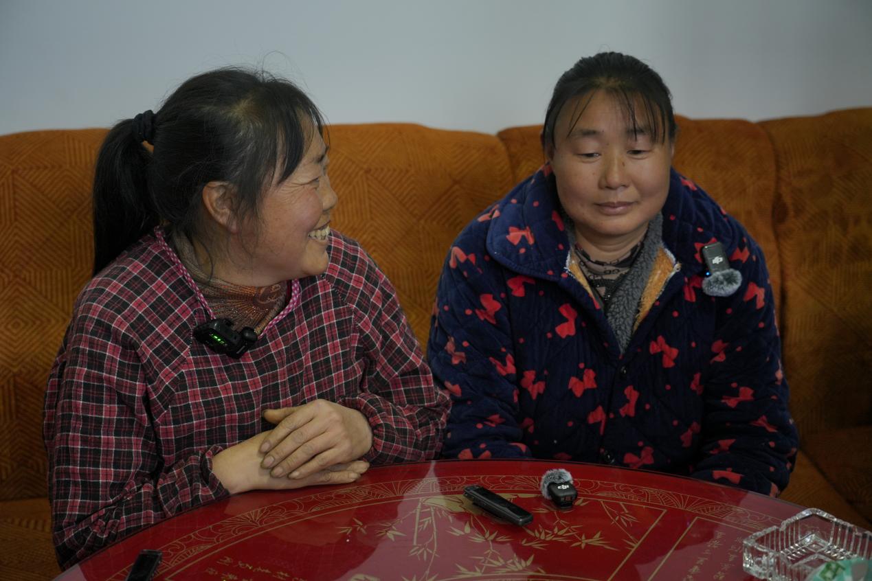 安康镇坪：深山黄连成“金药”，道地药材结出“致富果”