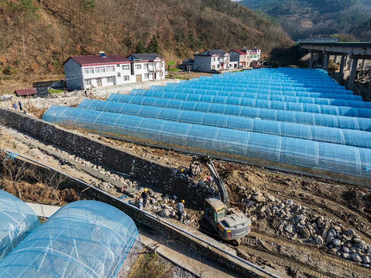 湖北保康：构建起从“茶园”到“茶杯”的全链条数字化品控体系