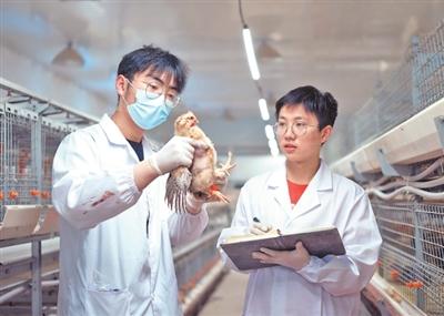 科技小院,扎根乡土茁壮生长