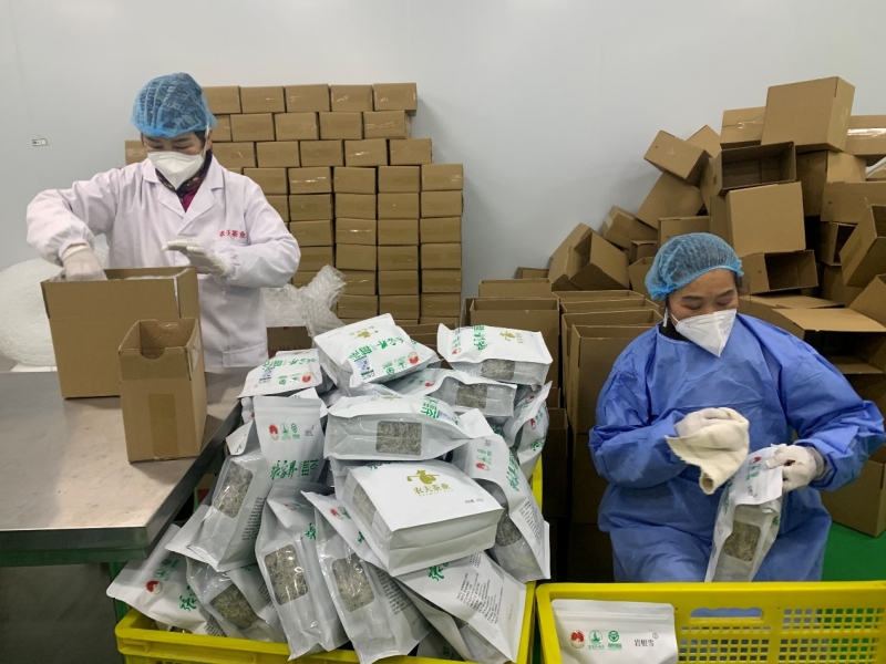 “野藤”变“金枝”：特色产业激活乡村内生动力