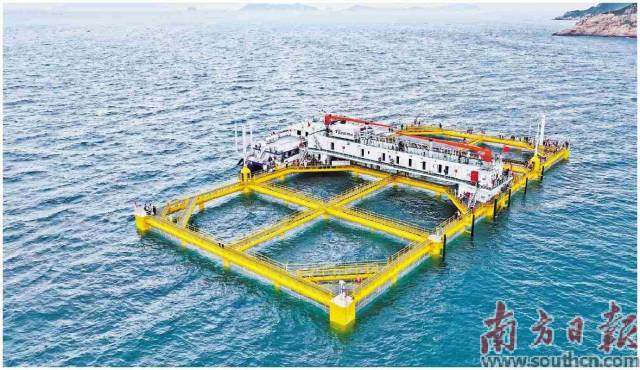 官栈融入现代化海洋牧场建设，助推海洋产业提质升级。图为伶仃牧场1号。关铭荣摄