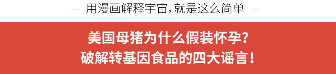 漫画|美国母猪为什么假装怀孕？破解转基因食品的四大谣言