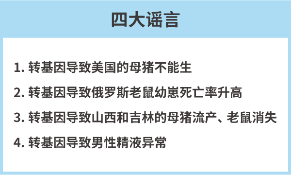 漫画|美国母猪为什么假装怀孕？破解转基因食品的四大谣言