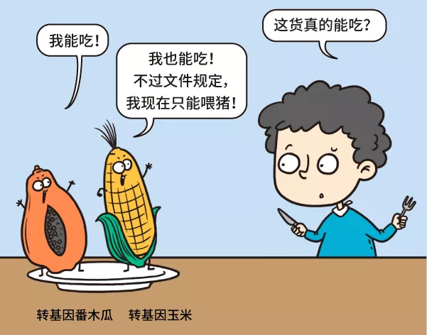 漫画|转基因食品的安全性，一定要经过长期多代人的验证吗？