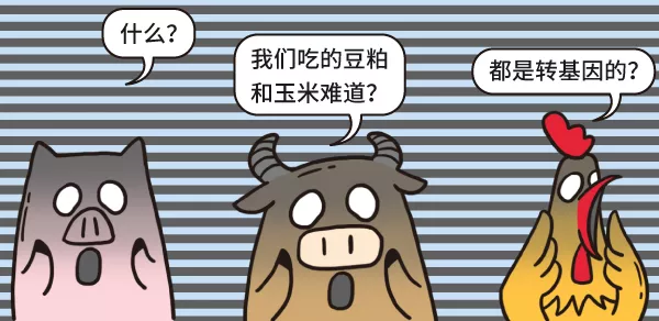 漫画|转基因食品的安全性，一定要经过长期多代人的验证吗？