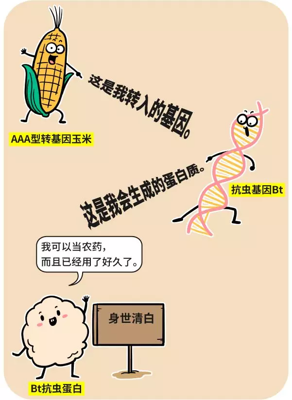 漫画|用转基因的标准评估红烧肉，你猜还能不能吃？