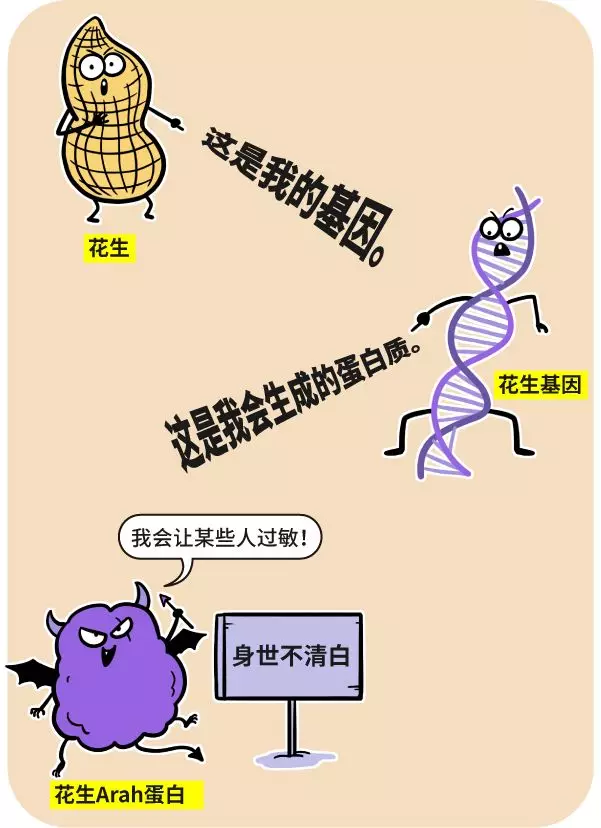 漫画|用转基因的标准评估红烧肉，你猜还能不能吃？