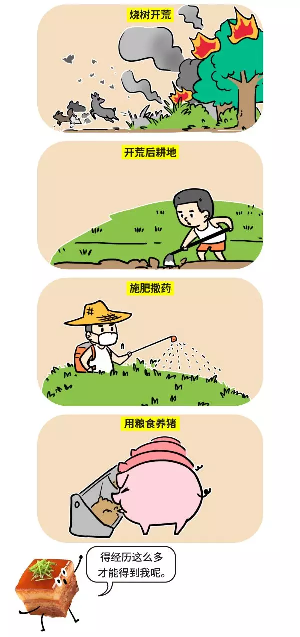 漫画|用转基因的标准评估红烧肉，你猜还能不能吃？