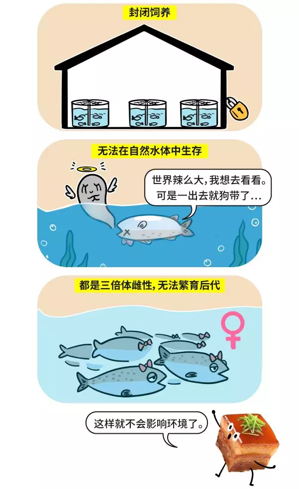 漫画|用转基因的标准评估红烧肉，你猜还能不能吃？