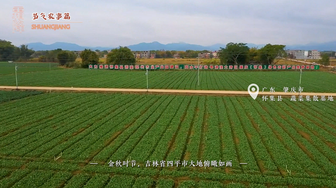 【智惠农民】霜降——草木黄落，气寒霜凝