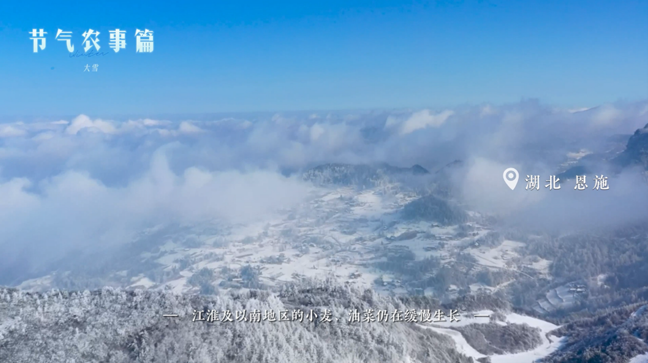 【智惠农民】大雪——大雪渐寒，岁暮清欢