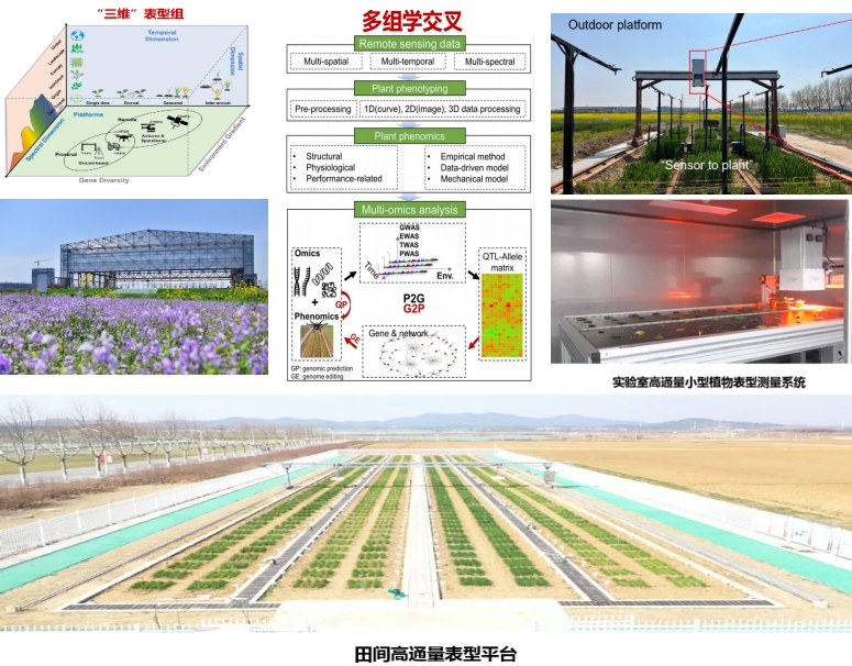 植物表型组学——用前沿科技铺陈未来农业画卷