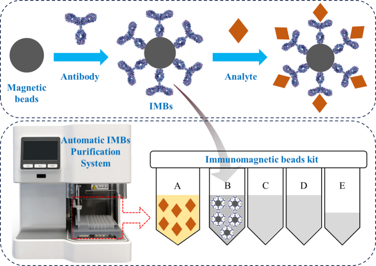 新技术实现玉米赤霉烯酮快速高通量检测