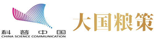 春耕中的新质生产力：小蜜蜂撬动油菜产业大增收