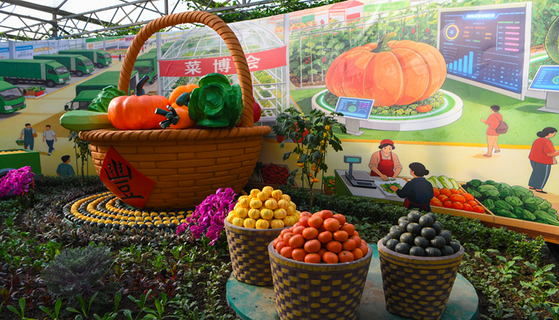 第27届中国（寿光）国际蔬菜科技博览会开幕，多款农用机器人上岗