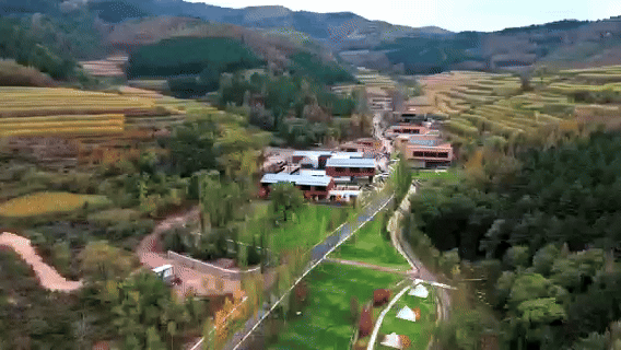 和谐共生｜塞外秋意浓，山水画中游