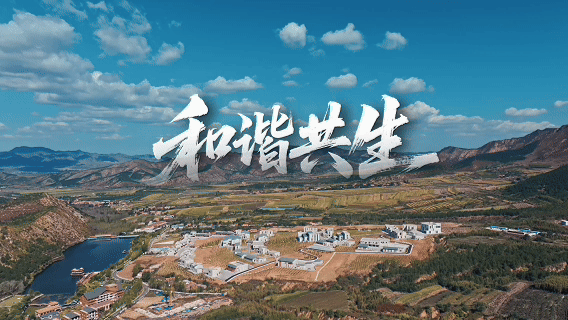 和谐共生|马鞍山林场:守“绿”生“金”走新路 和谐共生|马鞍山林场:守“绿”生“金”走新路