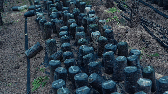 和谐共生|马鞍山林场:守“绿”生“金”走新路 和谐共生|马鞍山林场:守“绿”生“金”走新路