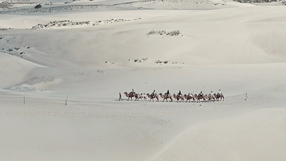 和谐共生|“沙里淘金”:一粒沙的绿色致富经 和谐共生|“沙里淘金”:一粒沙的绿色致富经