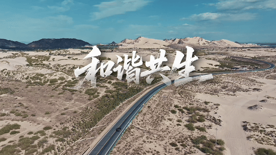 和谐共生｜“沙里淘金”：一粒沙的绿色致富经