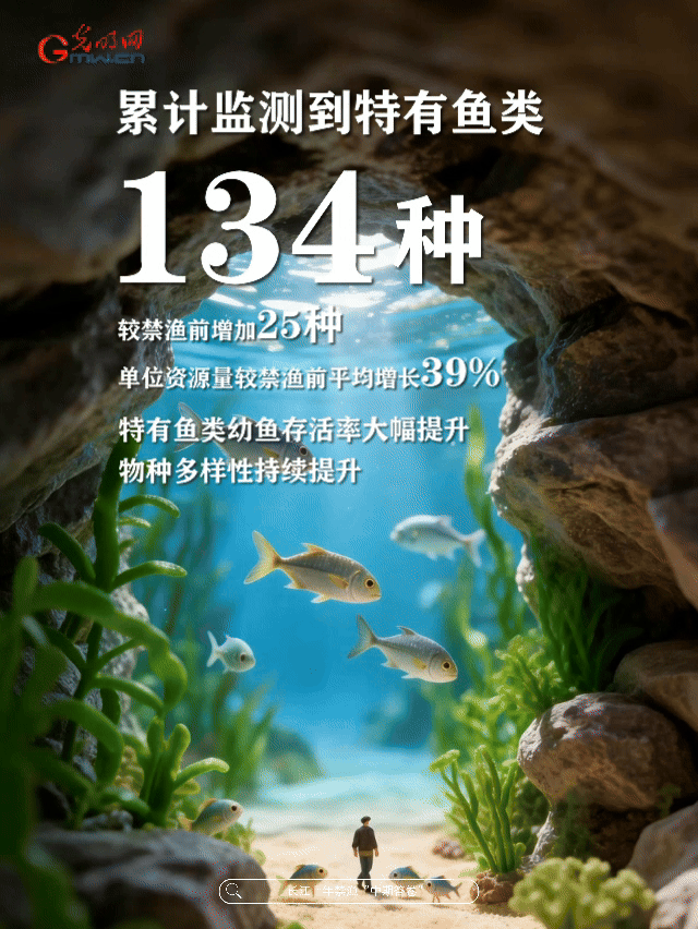 动态海报丨母亲河，豚“丁”旺！数说长江十年禁渔中期答卷