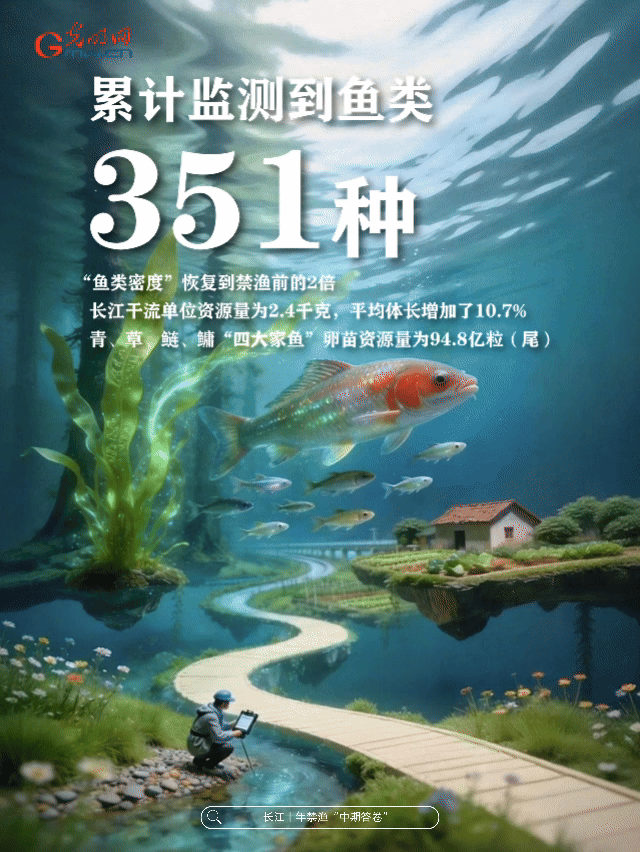 动态海报丨母亲河，豚“丁”旺！数说长江十年禁渔中期答卷