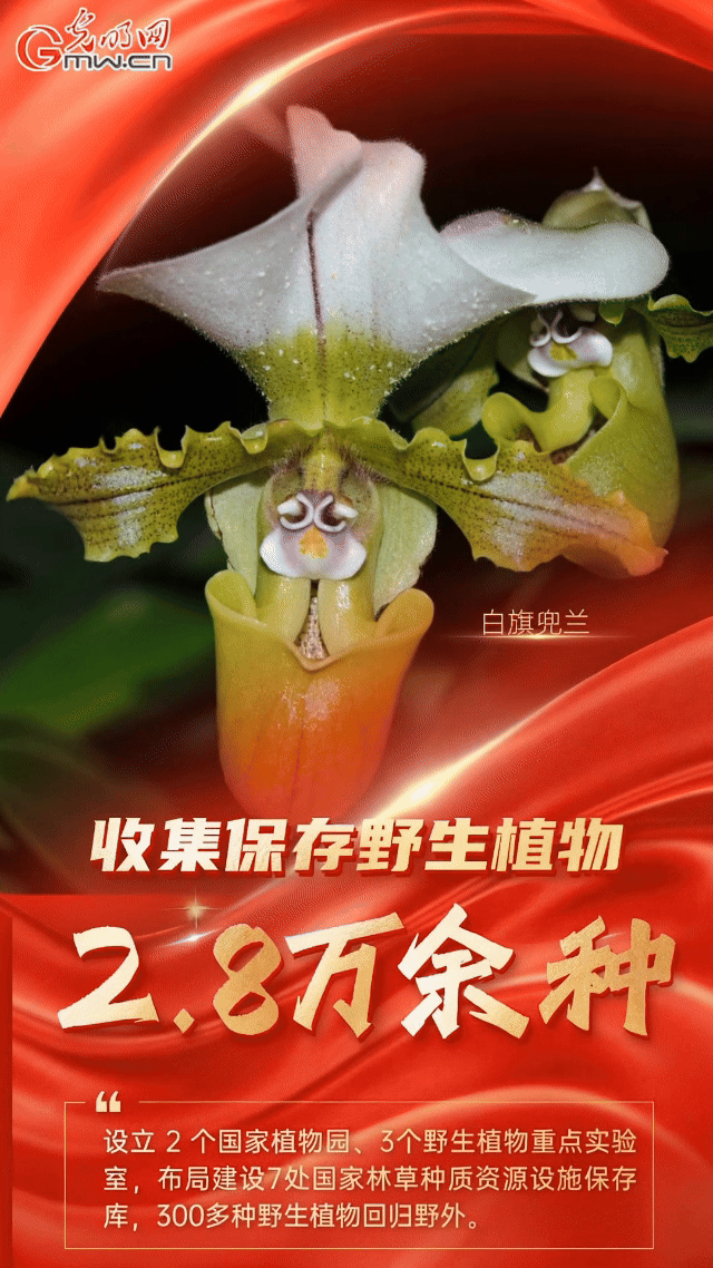 我国重点保护陆生野生动植物种数保护率超过80%