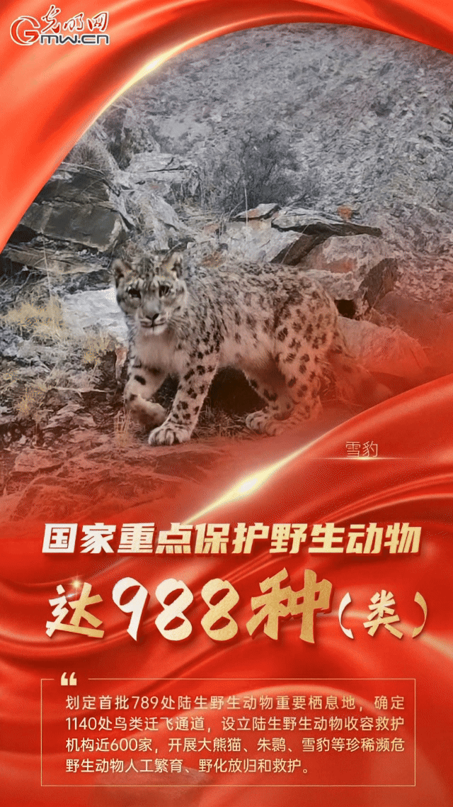 我国重点保护陆生野生动植物种数保护率超过80%