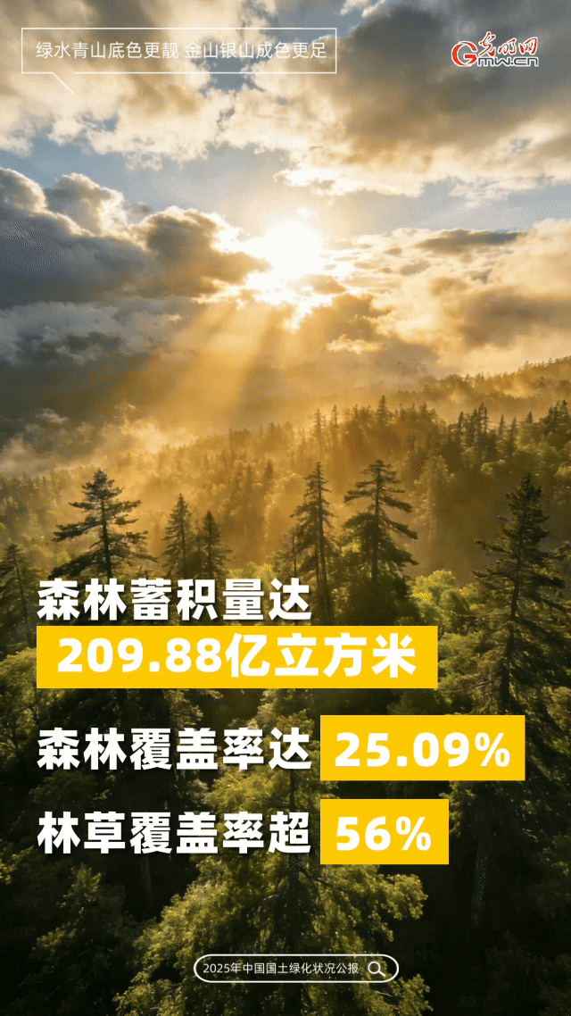 动态海报丨不负春光植新绿！数读2025年国土绿化成绩单
