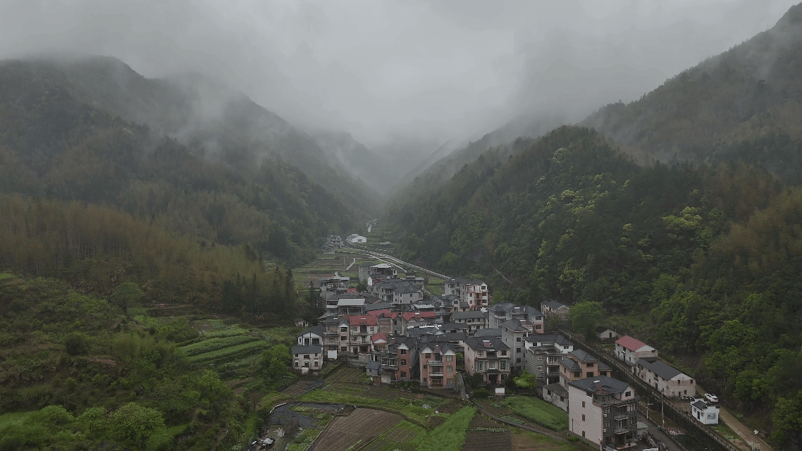 绿水青山“瞰”中国丨小石斛撬动大产业，崖壁长出“黄金草”