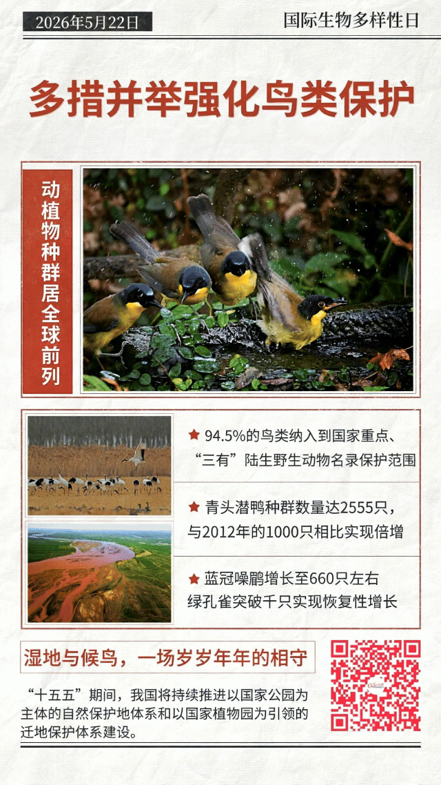 动态海报丨珍稀物种“组团”回归，中国答卷越发亮眼