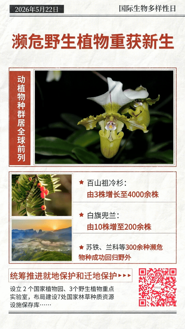 动态海报丨珍稀物种“组团”回归，中国答卷越发亮眼