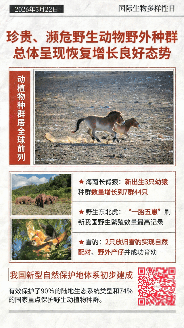 动态海报丨珍稀物种“组团”回归，中国答卷越发亮眼