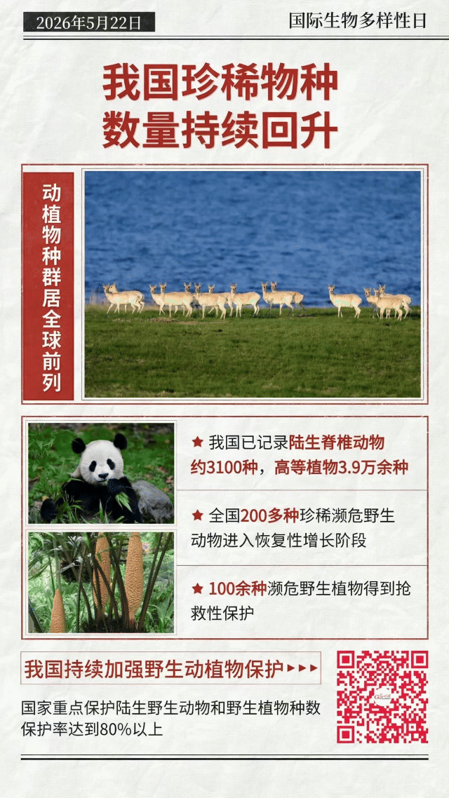 动态海报丨珍稀物种“组团”回归，中国答卷越发亮眼