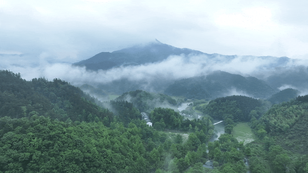 “两山”理念与美丽中国｜千年窑火见证绿色蝶变