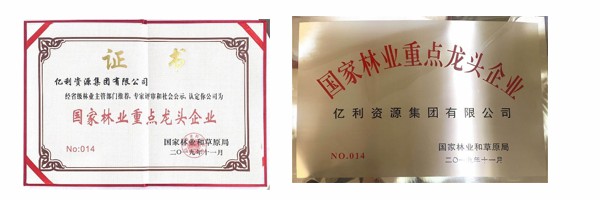 亿利获得国家林业重点龙头企业称号