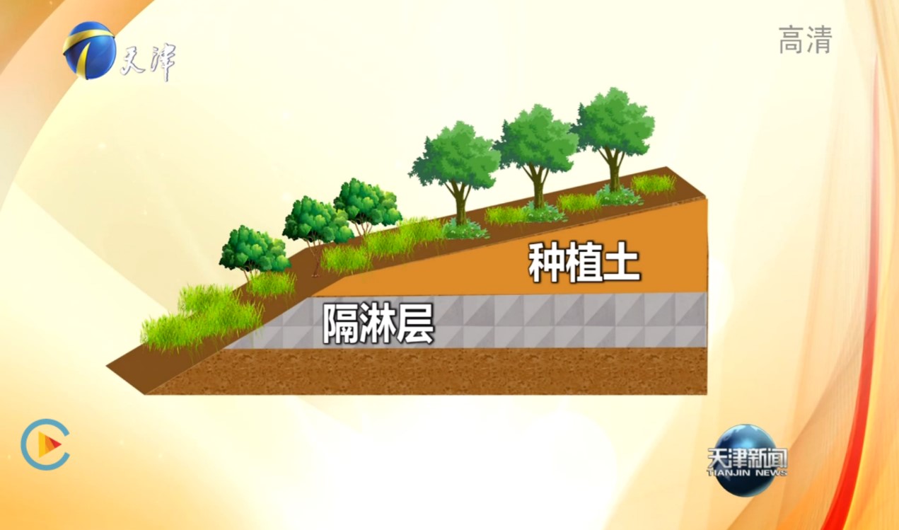 天津电视台重磅报道！亿利让盐碱地变身生态绿洲