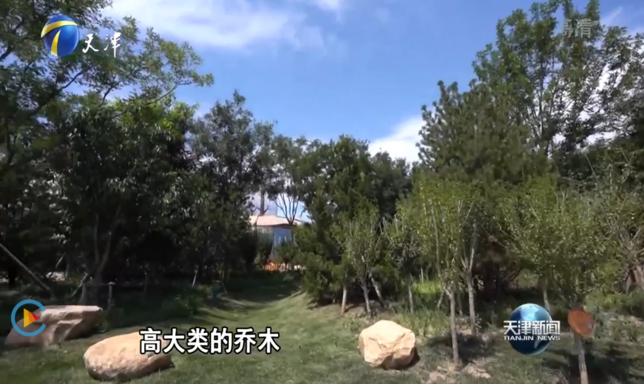天津电视台重磅报道！亿利让盐碱地变身生态绿洲