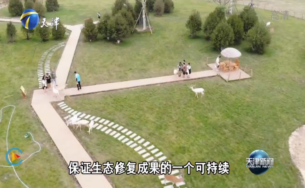 天津电视台重磅报道！亿利让盐碱地变身生态绿洲