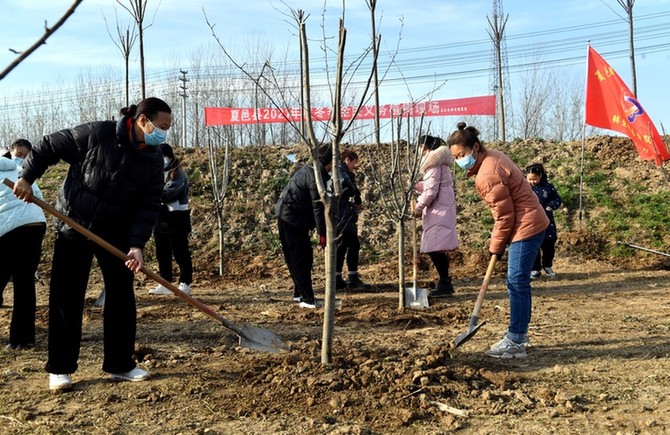 全民植绿四十载：累计175亿人次参加 植树781亿株