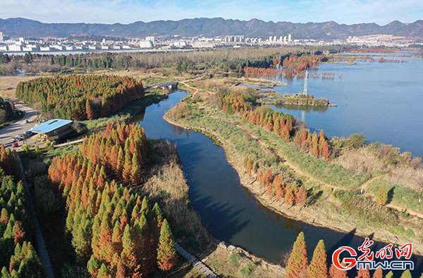 守护“地球之肾”《湿地保护法》将于6月1日起施行