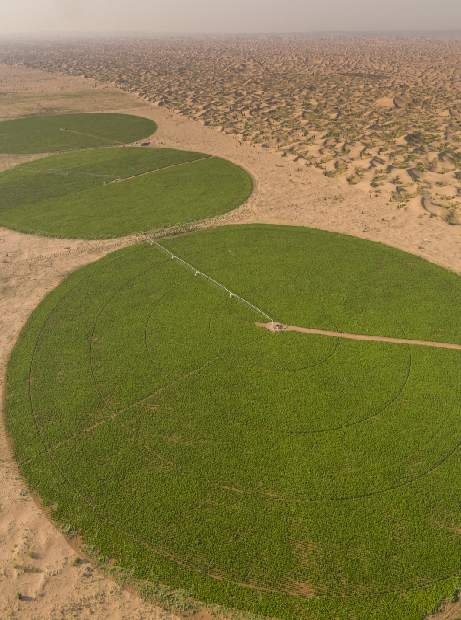 亿利生态将漫天黄沙变为“绿色银行”建立靓丽的风景线