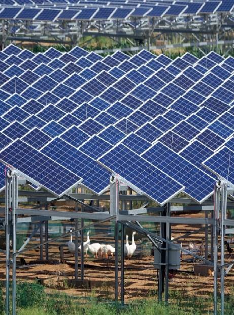 亿利生态将漫天黄沙变为“绿色银行”建立靓丽的风景线